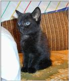 And while we're in cute mode....