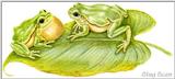 Art by Hermann Fey Frogs28.jpg (1/1) 45661 bytes