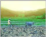 HNC-tradit32-KoreanCowPlowing.jpg