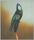 Hummingbird - hb003.jpg