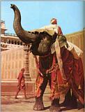 Indies-Elephant