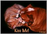 Kiss Me (no porn)