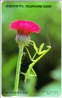 Korean Insect: Praying Mantis - Hanging Flower