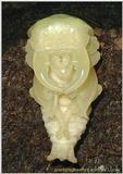 A male pupa of the giant stagbeetle(scientific name: Dorcus curvidens binodulus Waterhouse)