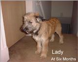 (Description) File 13 of 40 - Lady - 004.jpg (1/1)