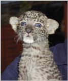 ....more cute mode.....