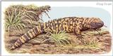 Art by Hermann Fey Lizard60.jpg (1/1) 102898 bytes