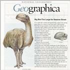 Re: Req: Prehistoric Life - bullockornis planei.jpg