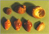 Animals from La Palma - Shells3.jpg