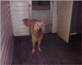(Description) File 40 of 40 - max.JPG (1/1)