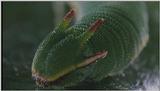 D:\Microcosmos\Unknown] [01/13] - 001.jpg (1/1) (Video Capture)