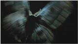 D:\Microcosmos\Moth's Flight] [01/13] - 292.jpg (1/1) (Video Capture)