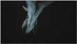 D:\Microcosmos\Moth's Flight] [01/13] - 292.jpg (1/1) (Video Capture)