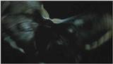 D:\Microcosmos\Moth's Flight] [01/13] - 292.jpg (1/1) (Video Capture)
