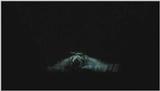 D:\Microcosmos\Moth's Flight] [01/13] - 292.jpg (1/1) (Video Capture)