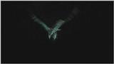 D:\Microcosmos\Moth's Flight] [01/13] - 292.jpg (1/1) (Video Capture)