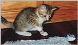 Missy with toy 2
