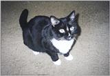 Onyx Sitting Pretty:  OnyxSP1.jpg