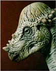 Pachycephalosaurus (J01) Face