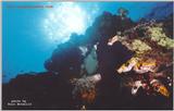 The reefs of Papua New Guinea