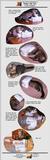 The Further Adventures of Penny the Cat