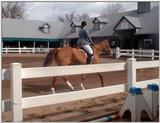 Horse Park - Russian Don