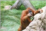 San Diego Zoo