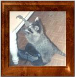 Sassy41-Raccoon by Tammy.jpg