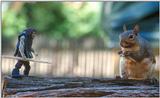 Conan vs. Giant Squirrel   (silly pic!)