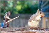 Conan vs. Giant Squirrel (silly pic!)2