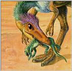 Sinosauropteryx prima (J01a) Face