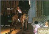 (Description) File 22 of 40 - Sire Hollywood - 1993.jpg (1/1)