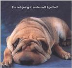 a unhappy pup!