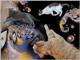 Illustration - Cats