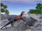 Sunbather