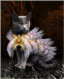 Thomas (cat) with fractals