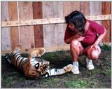 tiger cubs and me