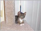 RDS Tigger2.jpg - tigger2.jpg (1/1)
