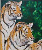 Tigers