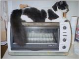 Richie, nice 'n' toasty