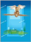 TongroPhoto-f14-WhiteParrot-illust.jpg