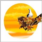 TongroPhoto-f42-pigeon-illust.jpg