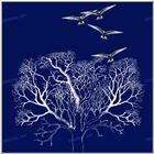 TongroPhoto-f79-4WhitePigeons.jpg