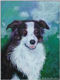 Border Collie painting