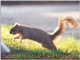Twitchy's Giant Leap Forward