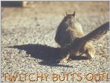 Twitchy!