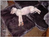 (Description) File 01 of 34 - Ughher - 0001.jpg (1/1)