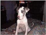 (Description) File 02 of 34 - Ughher - 0002.jpg (1/1)