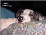 (Description) File 06 of 34 - Ughher - 0006.jpg (1/1)