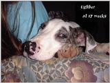 (Description) File 07 of 34 - Ughher - 0007.jpg (1/1)